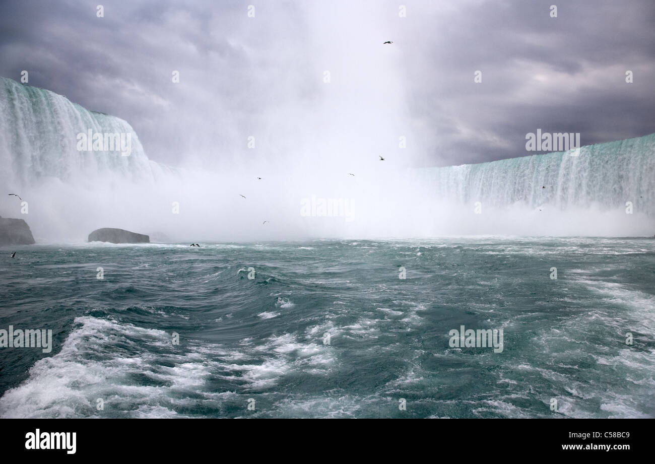 the horseshoe falls viewed from the maid of the mist niagara falls ontario canada Stock Photo