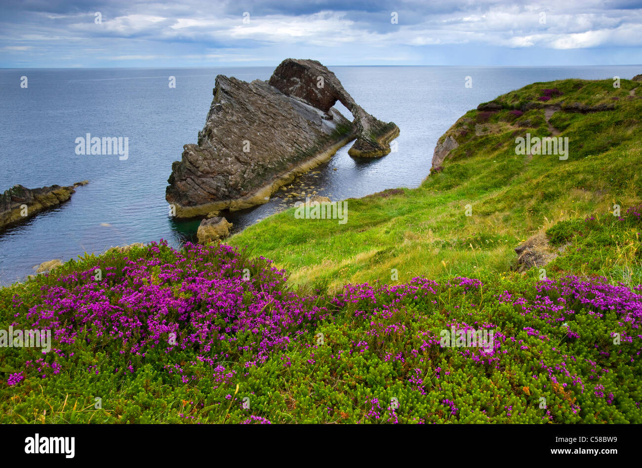 Bow Fiddle rock, skirt, Great Britain, Scotland, Europe, sea, coast, cliff coast, cliff forms, cliff curves, meadow, moor plants Stock Photo