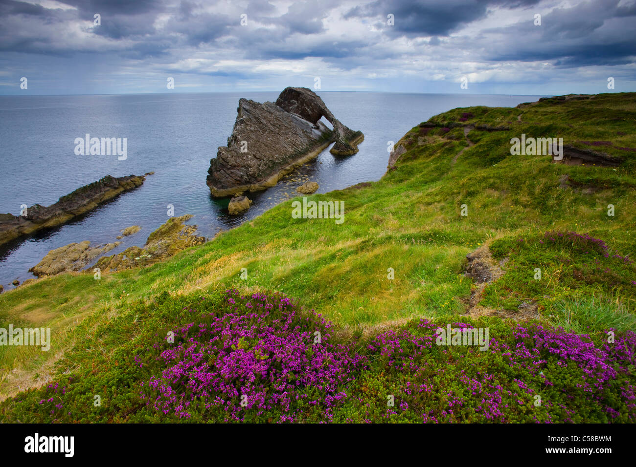 Bow Fiddle rock, skirt, Great Britain, Scotland, Europe, sea, coast, cliff coast, cliff forms, cliff curves, meadow, moor plants Stock Photo