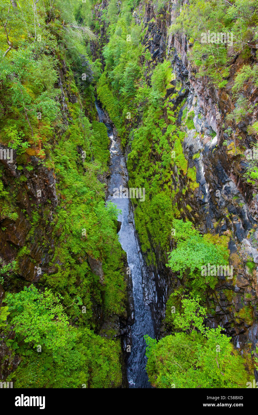 Corrieshalloch Gorge, Great Britain, Scotland, Europe, gulch, river, flow, cliff walls, trees Stock Photo