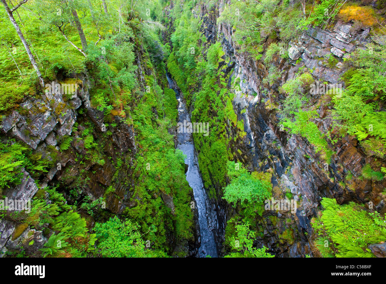 Corrieshalloch Gorge, Great Britain, Scotland, Europe, gulch, river, flow, cliff walls, trees Stock Photo