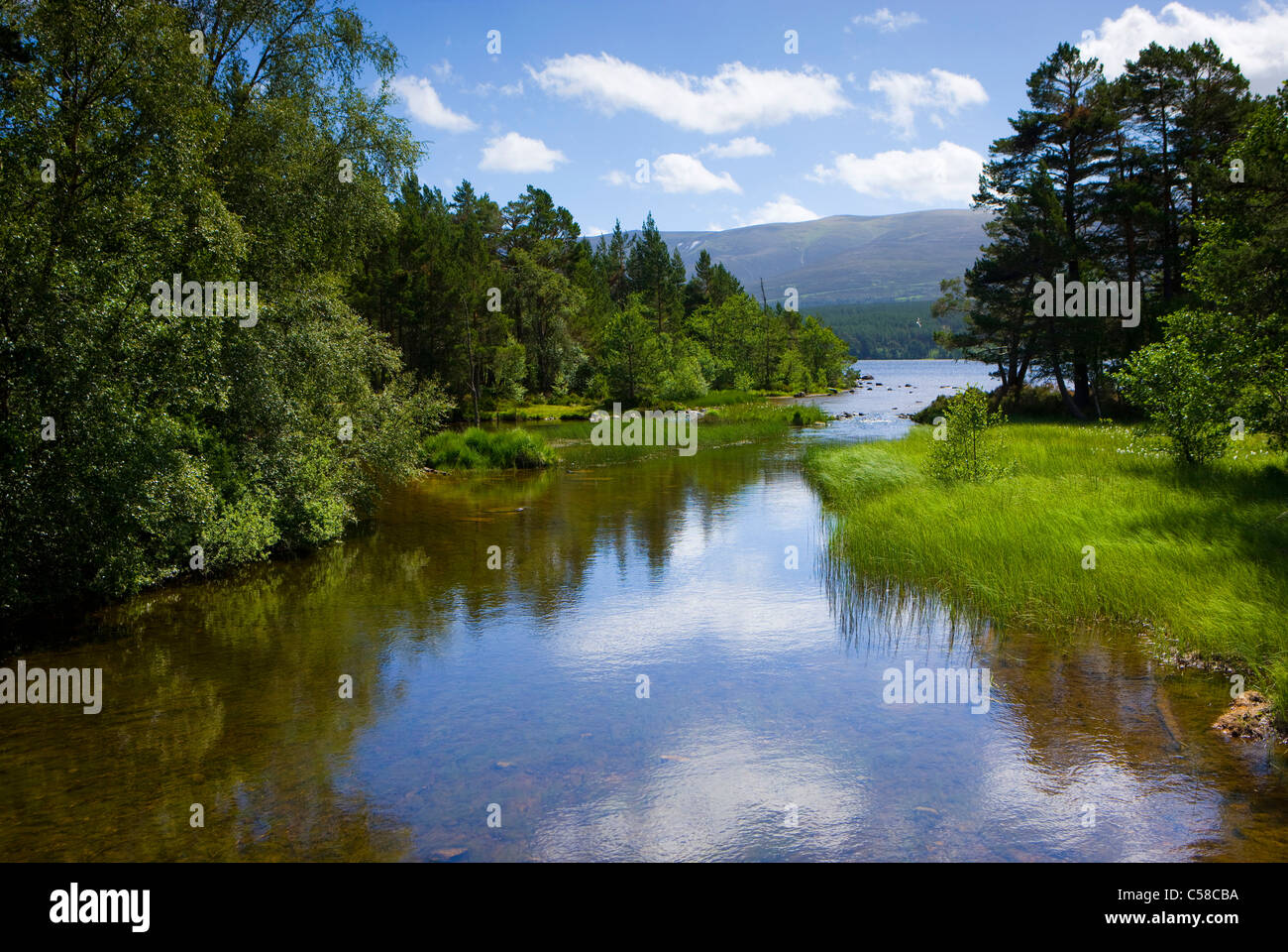 Loch Morlich, Great Britain, Scotland, Europe, sea, wood, forest, trees, lake shores, clouds Stock Photo