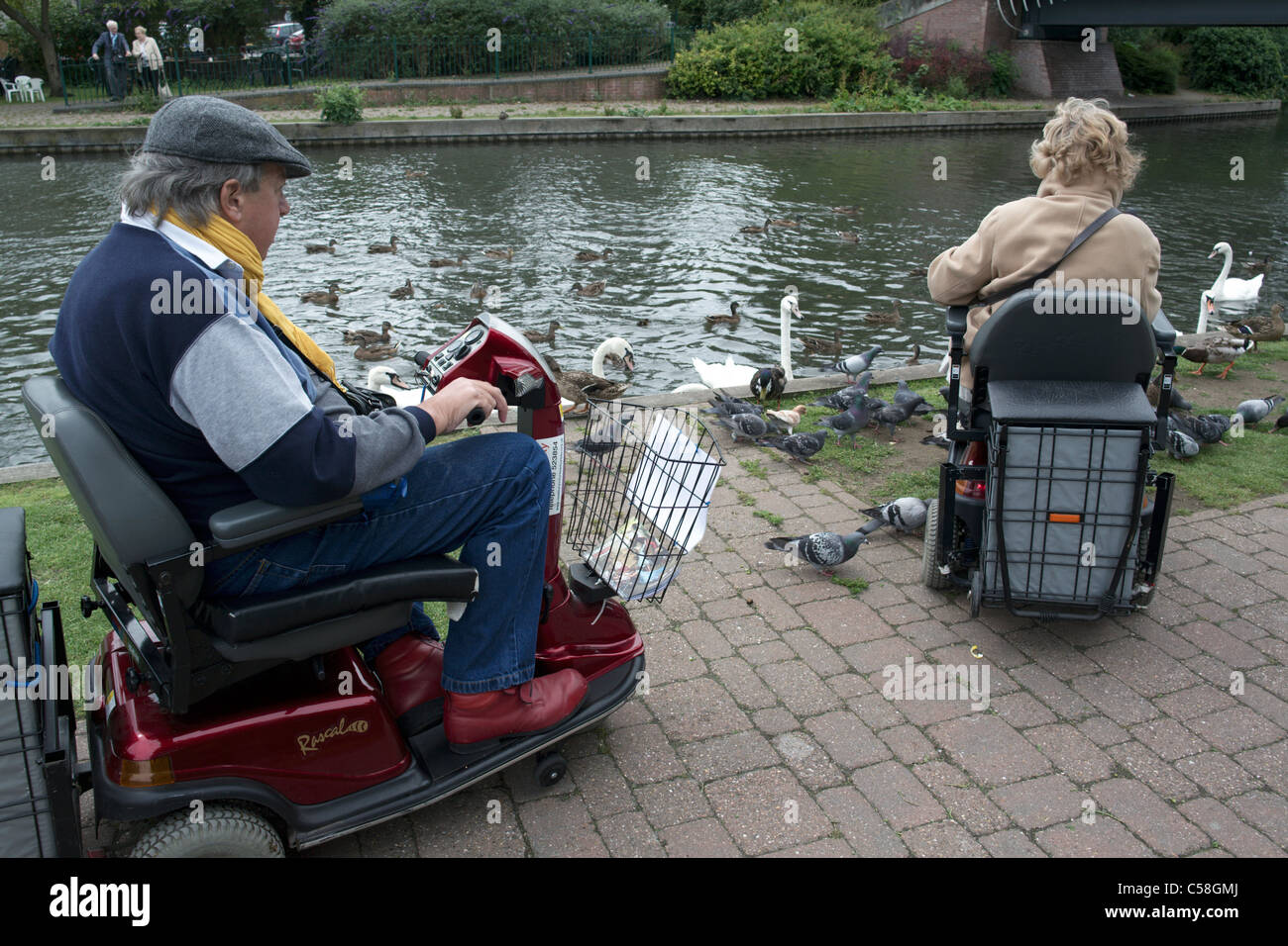 Two people in mobility scooters feeding swans and ducks Kennet and Avon Canal Bewbury Berkshire England UK Stock Photo