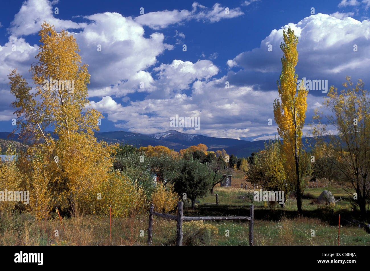 Taos High Road, near Penasco, Indian Summer, Fall Colors, New Mexico, USA, United States