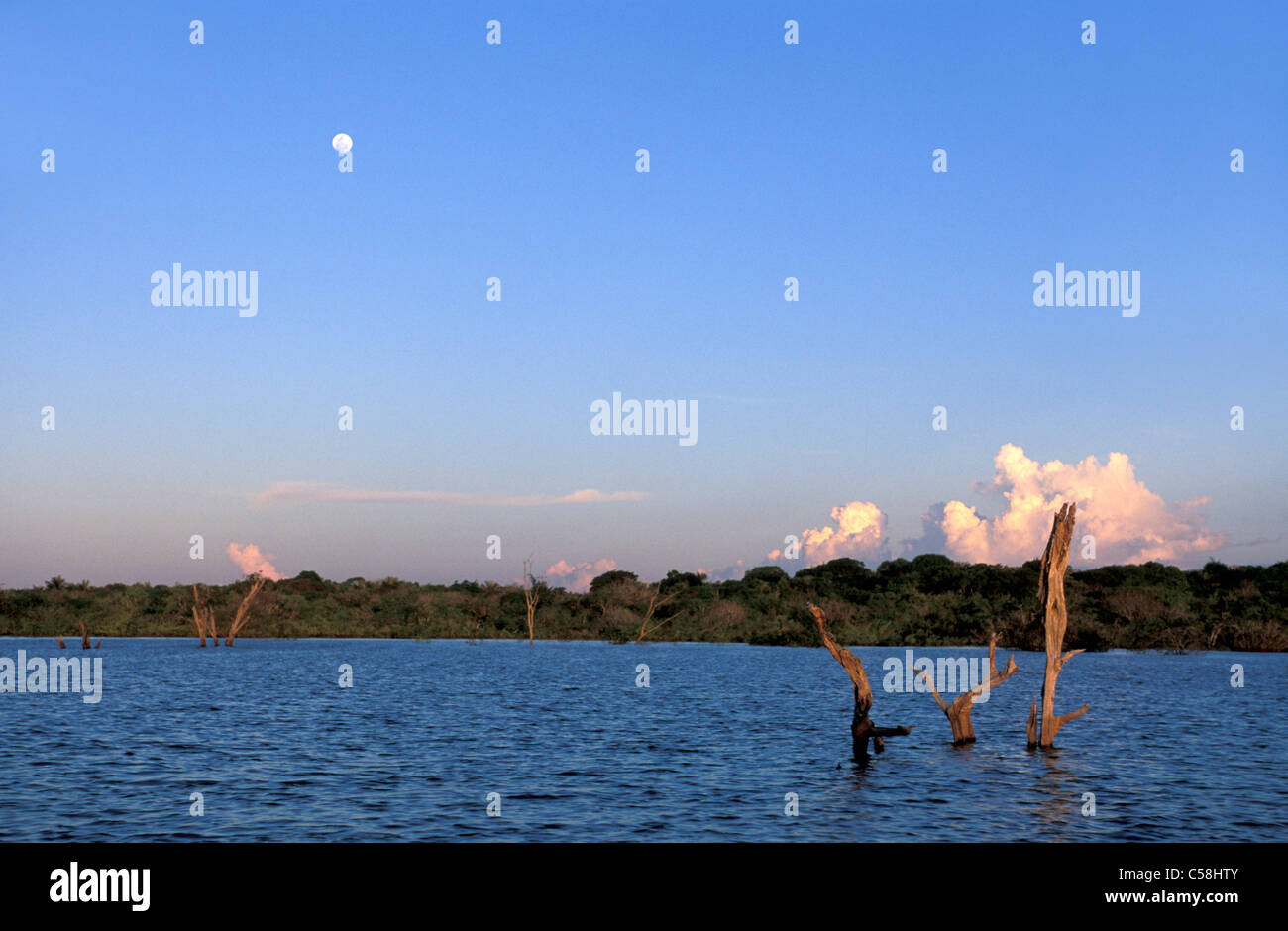 moon, Rio Negro, near Manaus, Amazonia, Brazil, South America, river ...