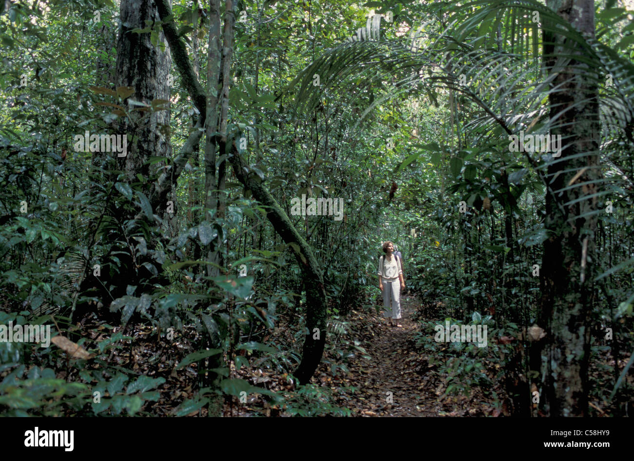 Tropical Forest, along Rio Negro, Manaus, Amazon, Brazil, South America, jungle, woman Stock Photo