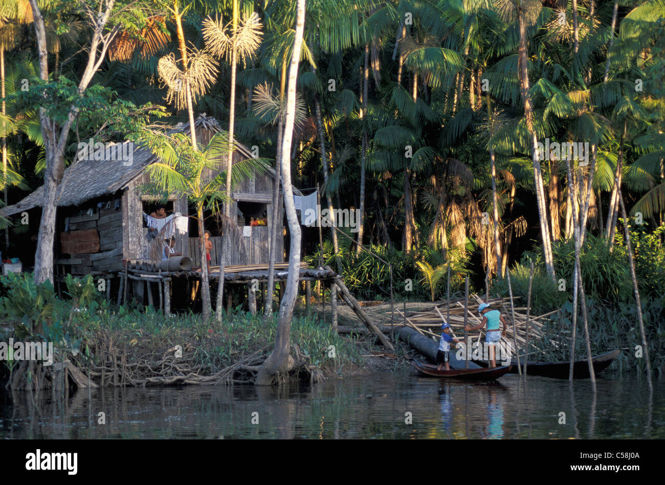 Amazon River, Ilha do Marajo, Amazon Delta, Amazonia, Brazil, South America, hut, river Stock Photo