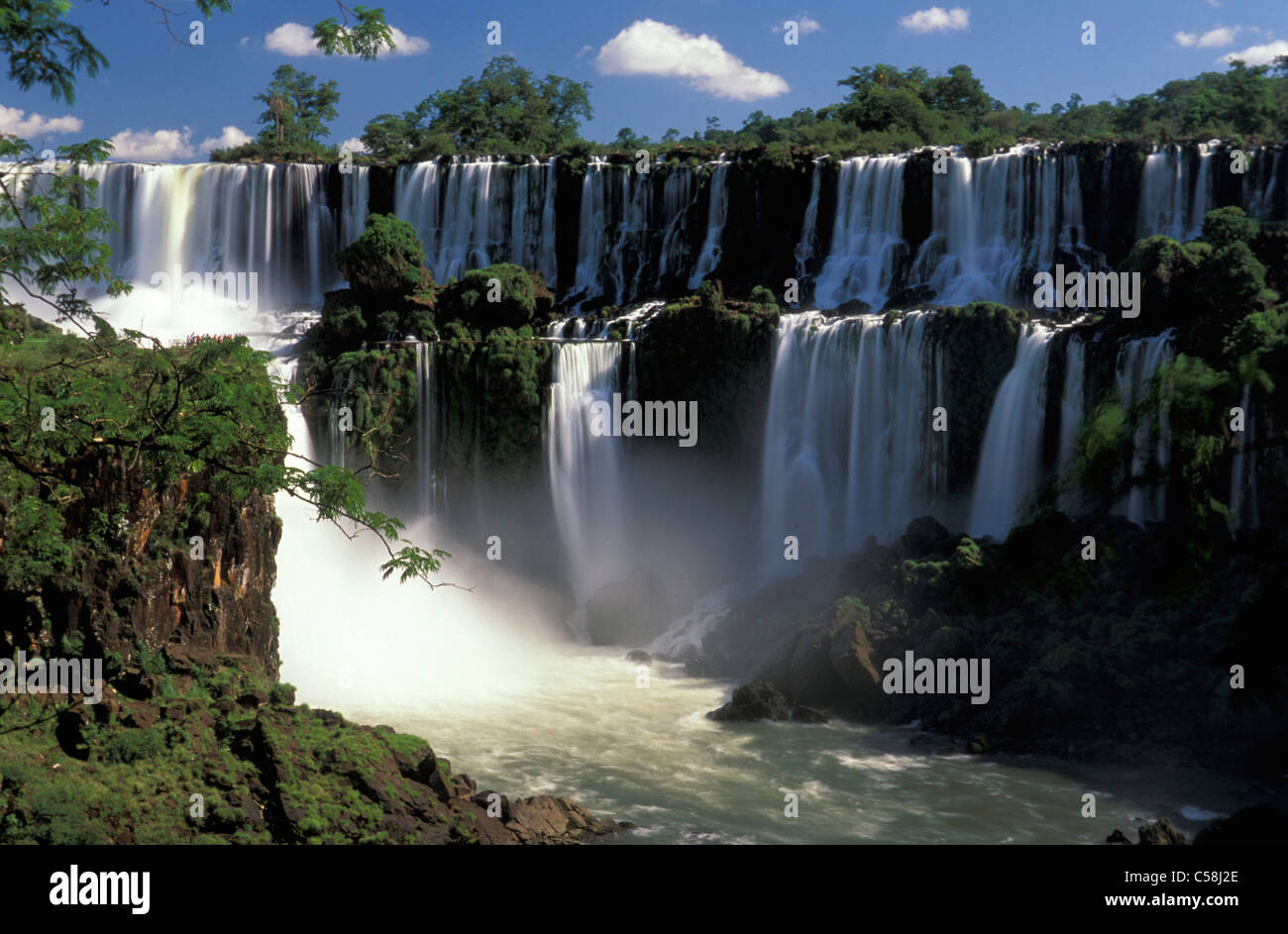 Parque National do Iguazu, Cataratas do Iguazu, Iguazu Waterfalls, Foz do Iguazu, Parana, Brazil, South America, waterfall, tree Stock Photo