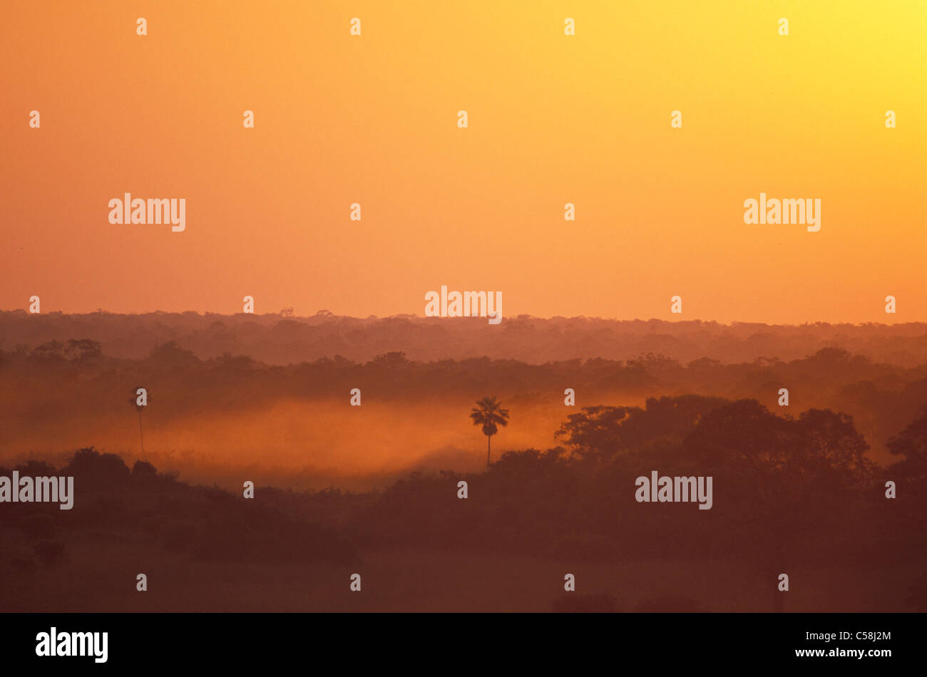 Mato grosso hi-res stock photography and images - Alamy