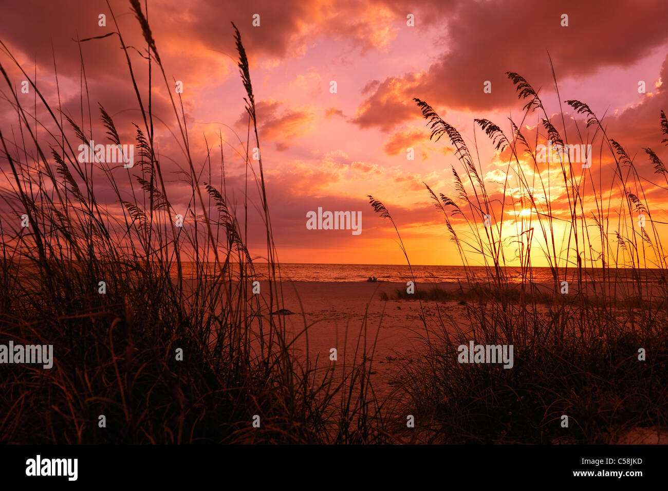 Grass, sand dunes, beach, Sunset, colorful, sky, Fort de Soto, State ...