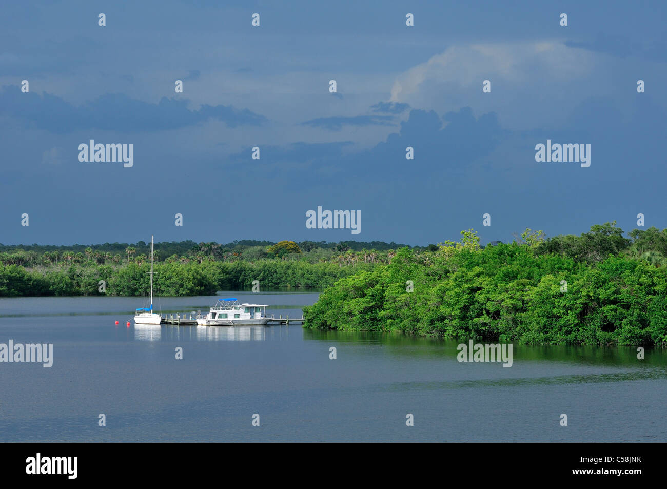 Caloosahatchee River, Fort Myers, Florida, USA, United States, America, water, tree, nature Stock Photo