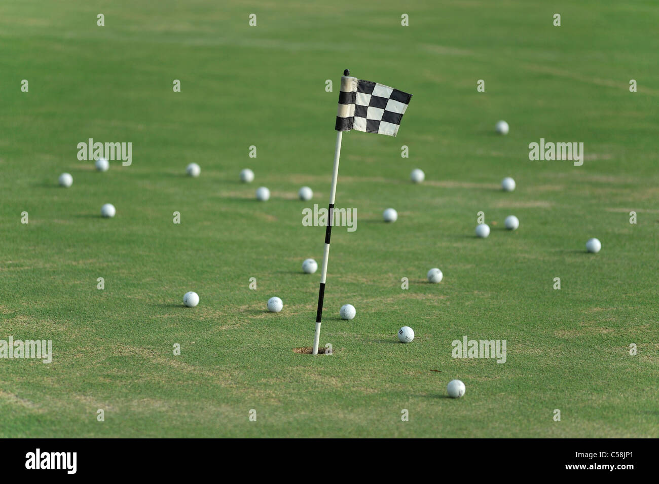 Flamingo, Golf Course, Lely Resort, Naples, Florida, USA, United States