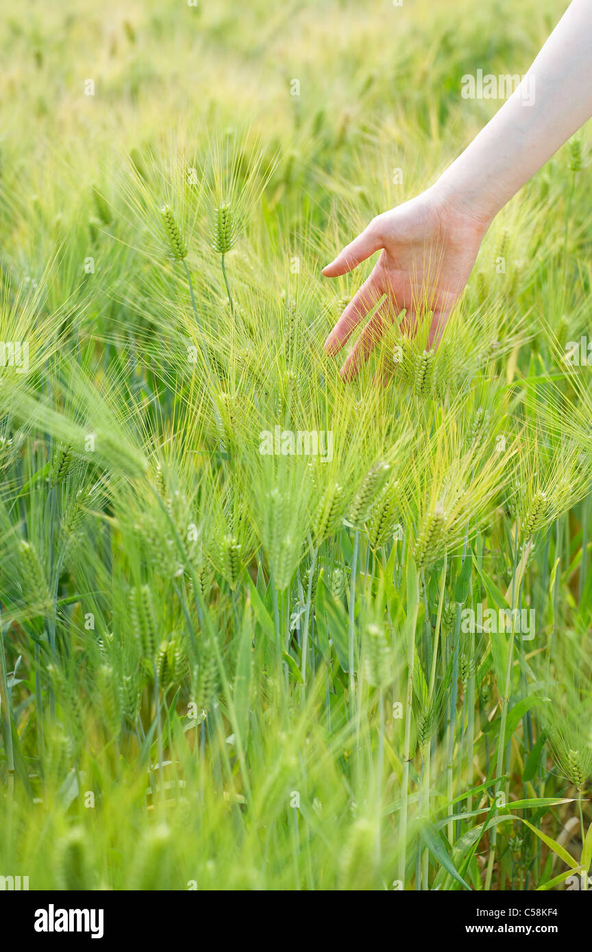 Close-up of young woman touching grass Stock Photo