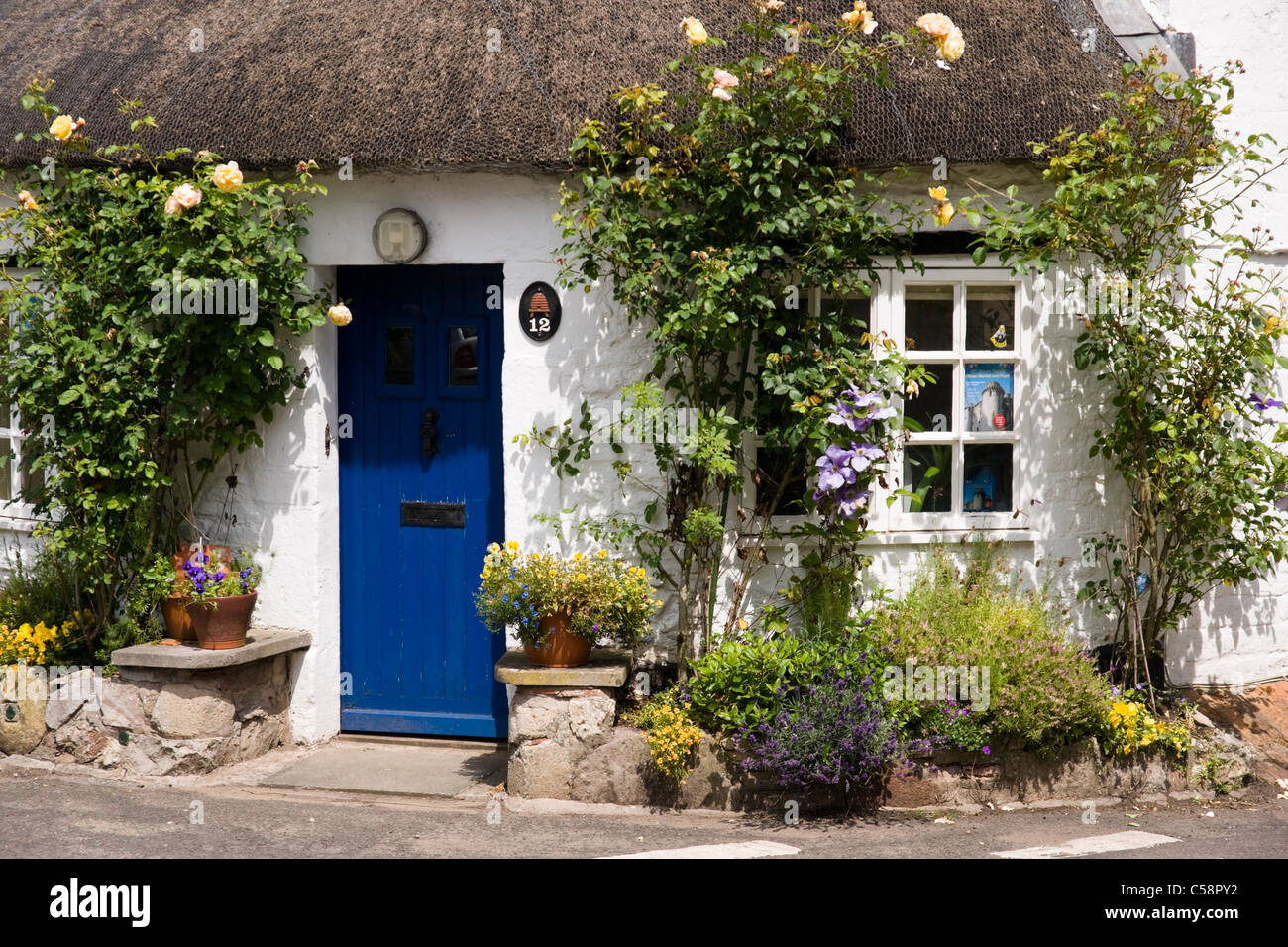 Cottage roses around the door hires stock photography and images Alamy