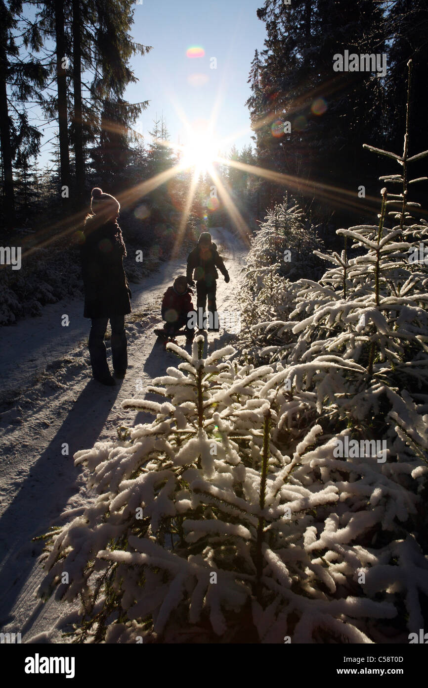 Woman and children running along a snow-covered forest track Stock Photo
