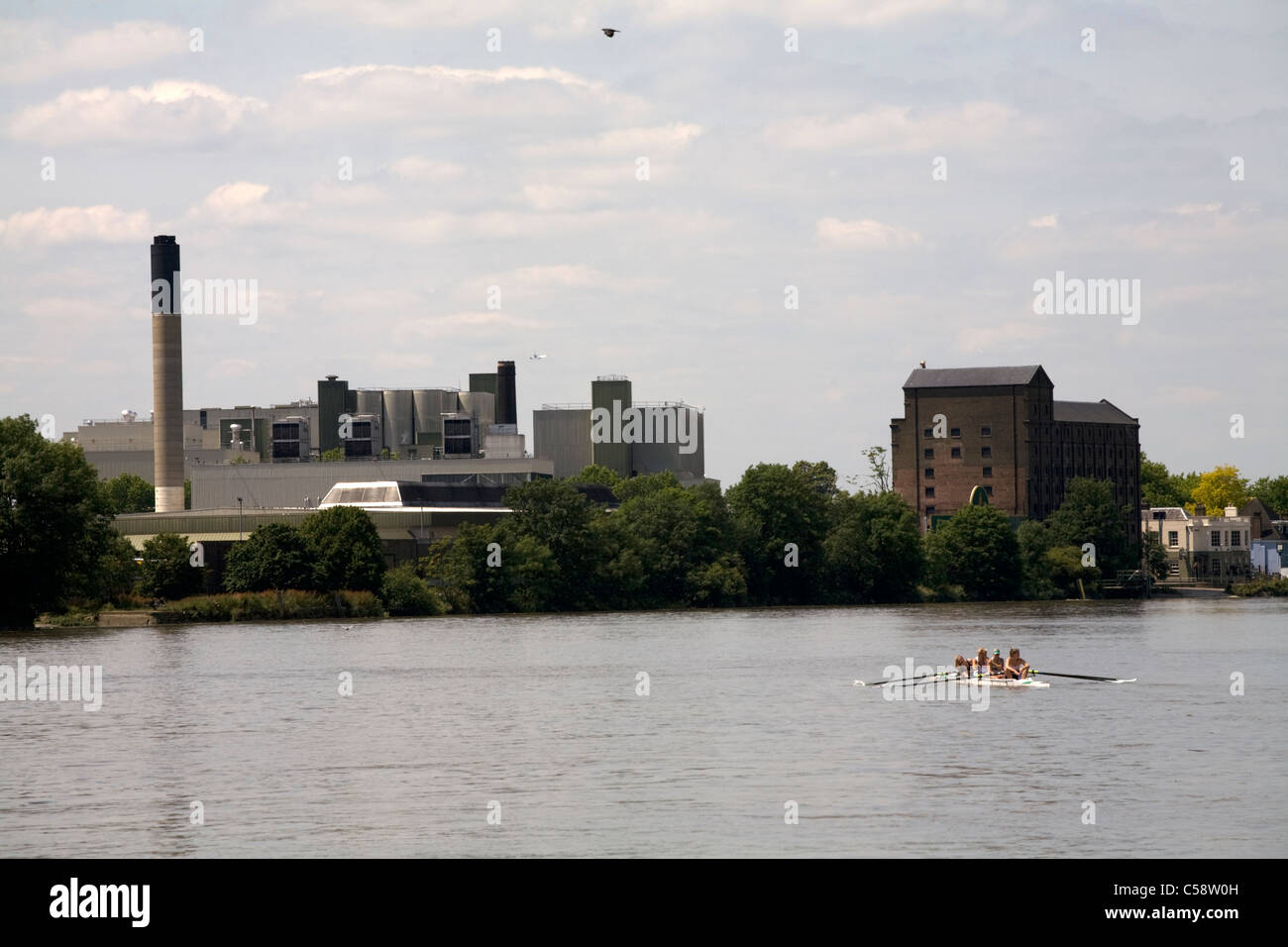 river thames mortlake london england Stock Photo - Alamy