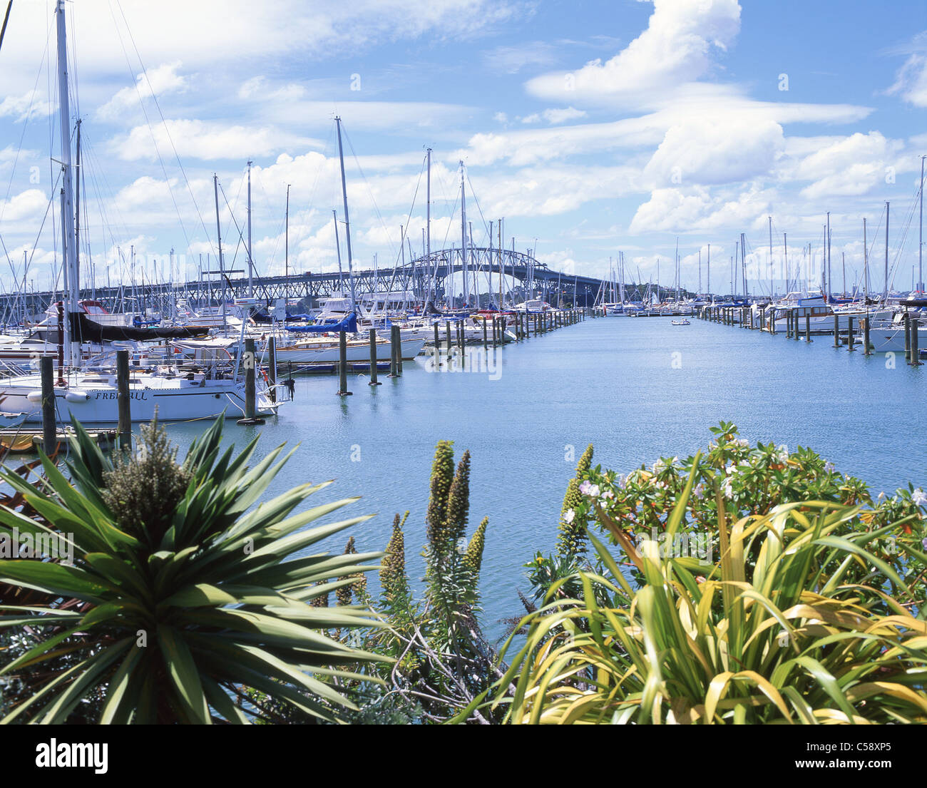 Auckland Harbour Bridge from Westhaven Marina, Waitemata Harbour