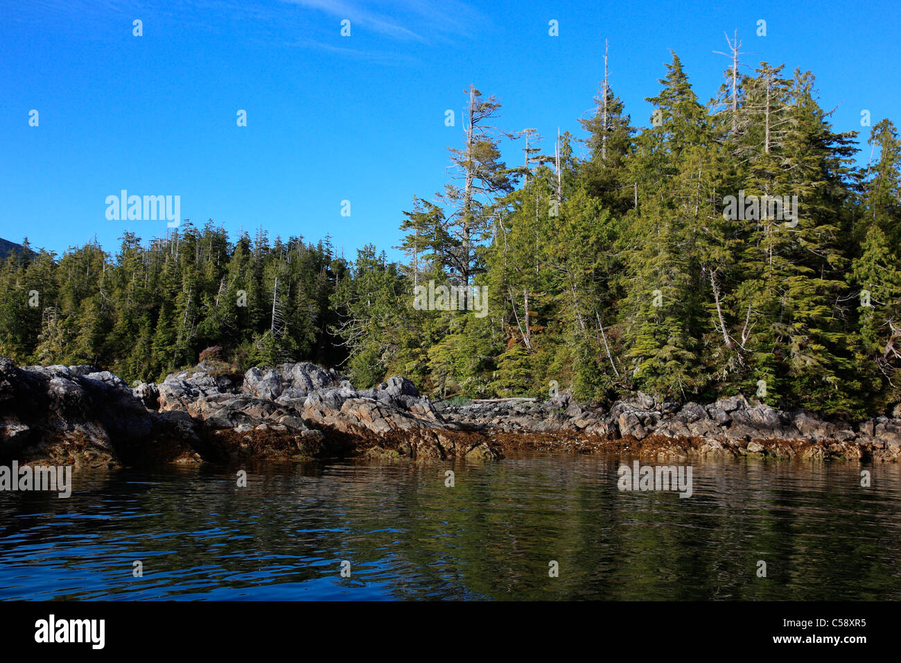 Calm waters of barkley sound in the broken island group on a summer evening. Island group Stock Photo
