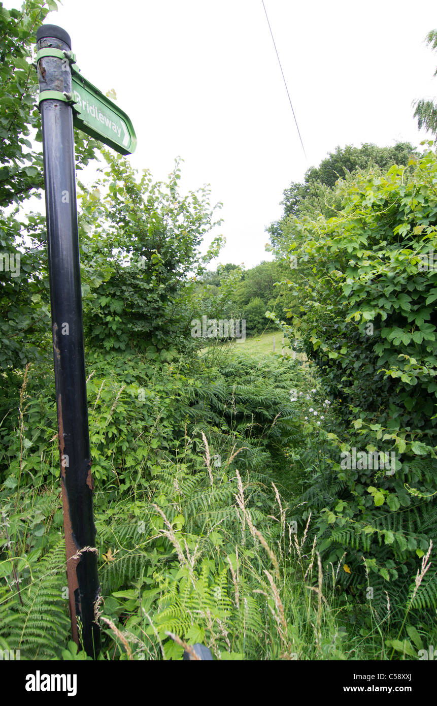 Smarts hill hires stock photography and images Alamy