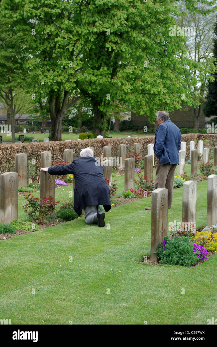 Two senior men, part of a U3A study group, examining WW1 graves Stock Photo