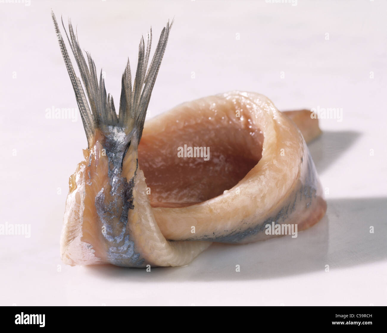 Matjes female herring hires stock photography and images Alamy