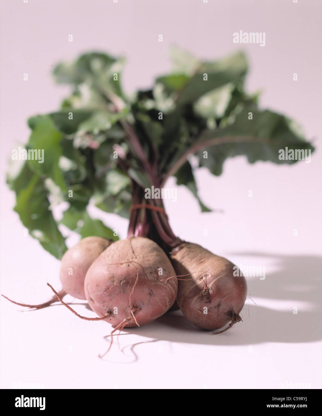 Cut out: Beetroot Stock Photo - Alamy