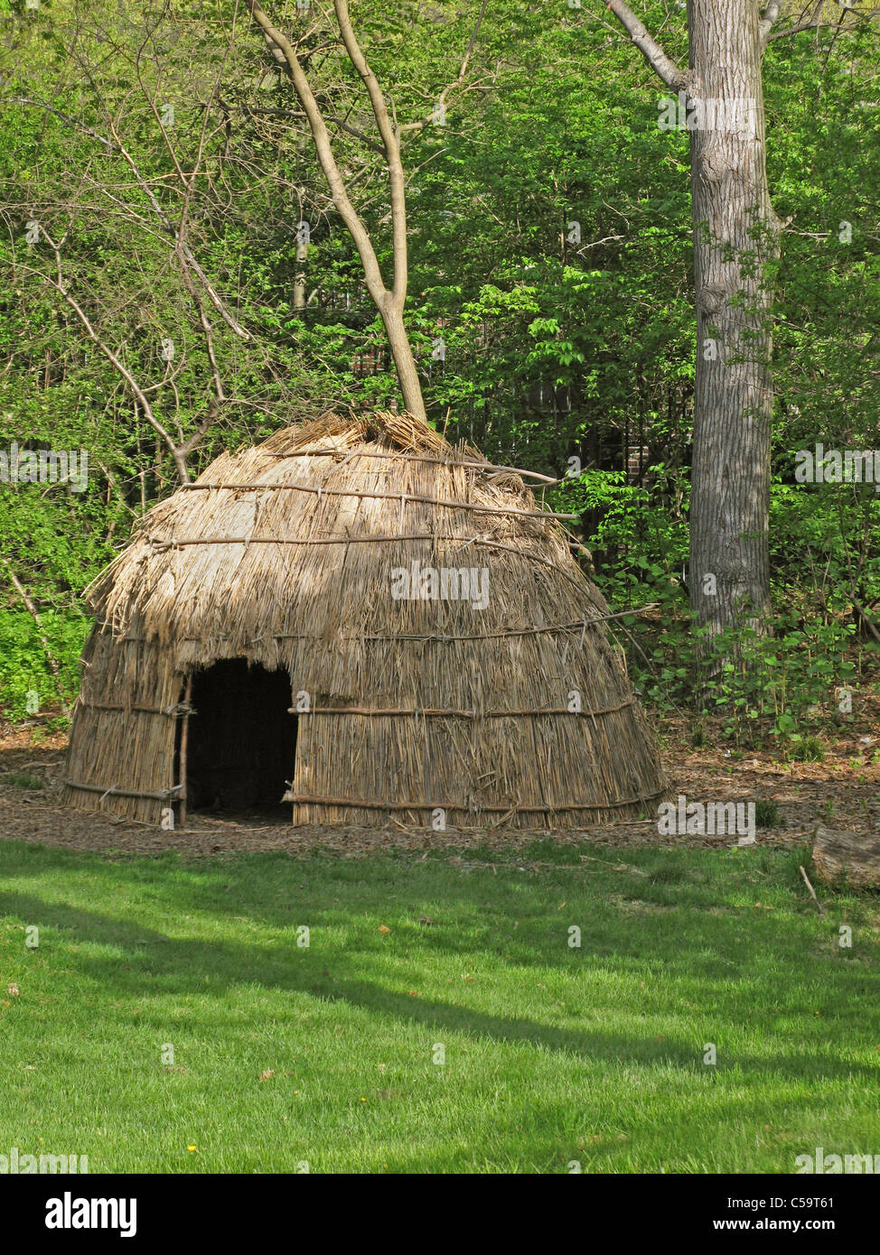 Wigwam Construction Indigenous American American Native Tribe Wigwam Construction Indigenous American American Native Tribe