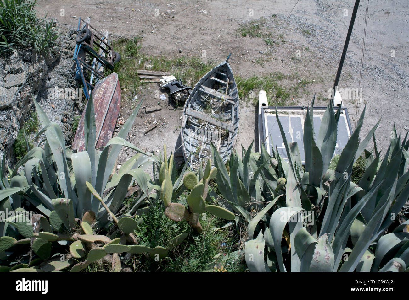 Cactus succulent plants by the sea shore beach with abandoned decaying boats Stock Photo