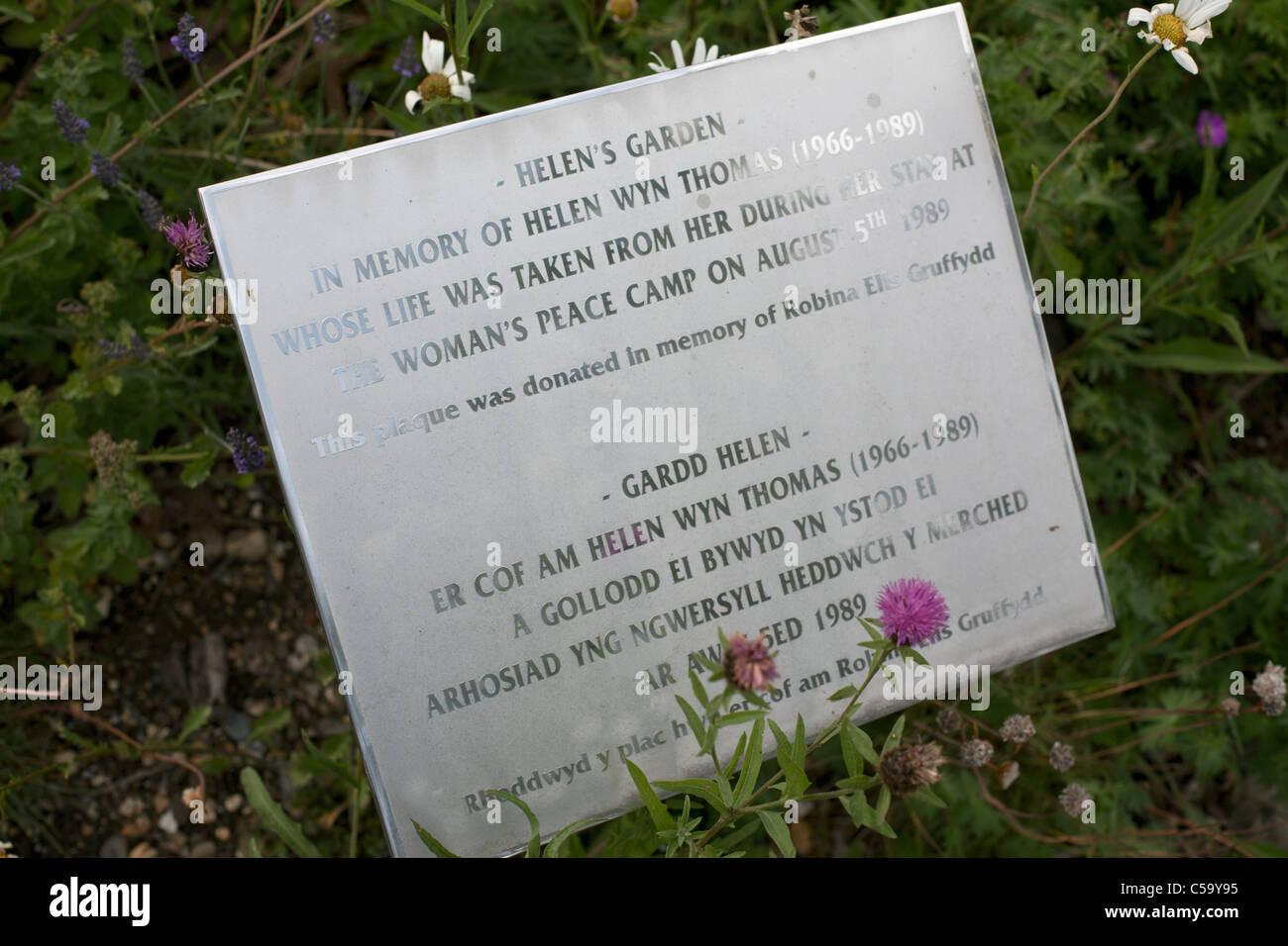 Plaque in memory of Helen Wyn Thomas killed at the peace camp Greenham Common Newbury Berkshire England UK Stock Photo