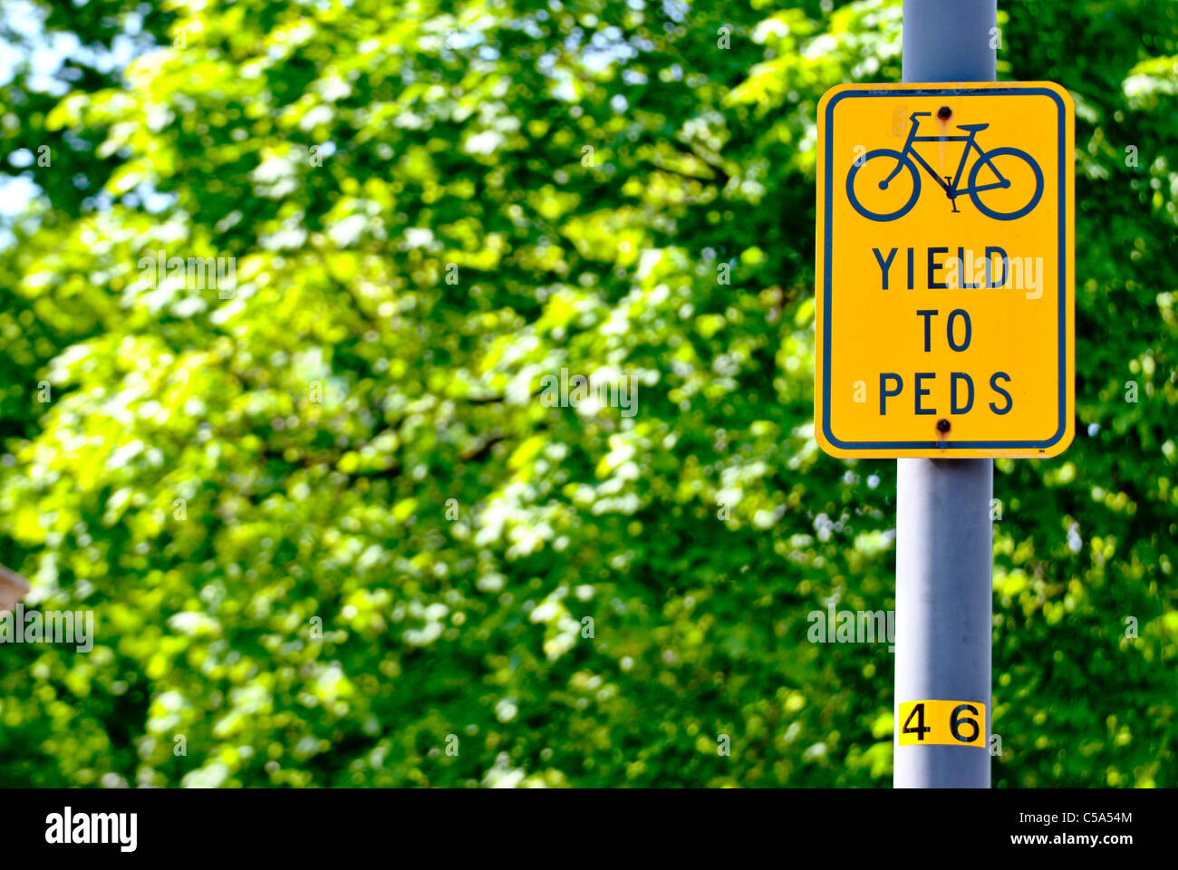 Sign 'Yield to Peds' on the street. Stock Photo