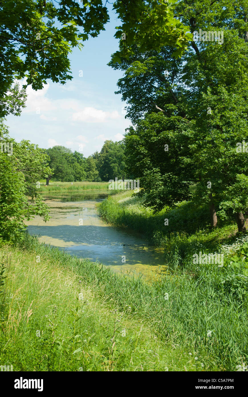 Planted Riverscape Riverscape landscape hi-res stock photography and images - Alamy
