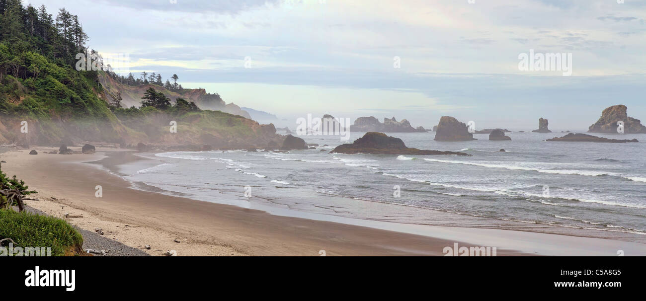 Foggy Indian Beach at Ecola State Park in Oregon Coast Panorama Stock Photo