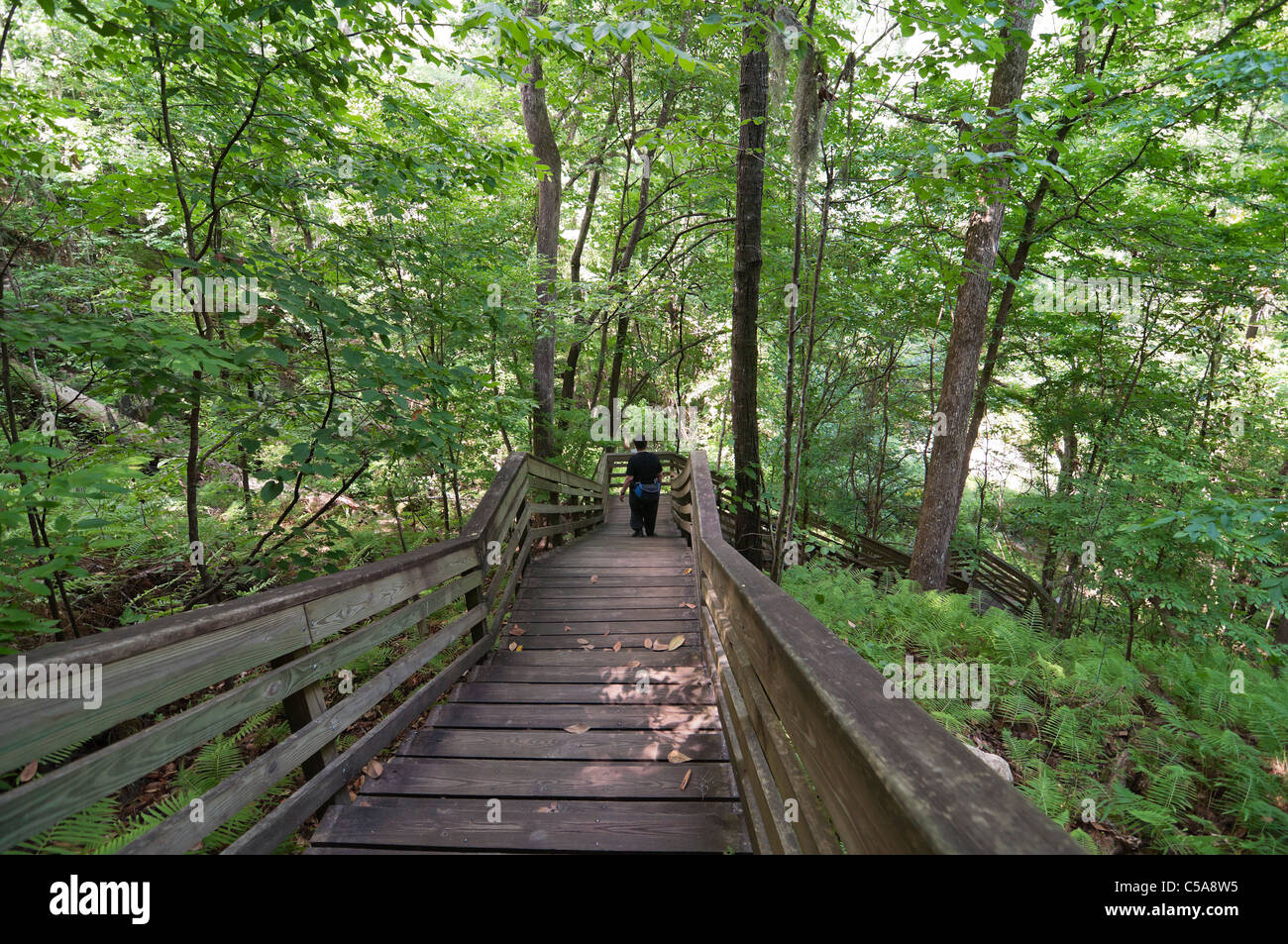 Devils Millhopper Geological State Park Gainesville Florida a visitor