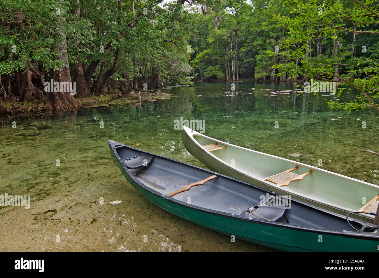canoe launching area at Manatee Springs State Park Florida near the