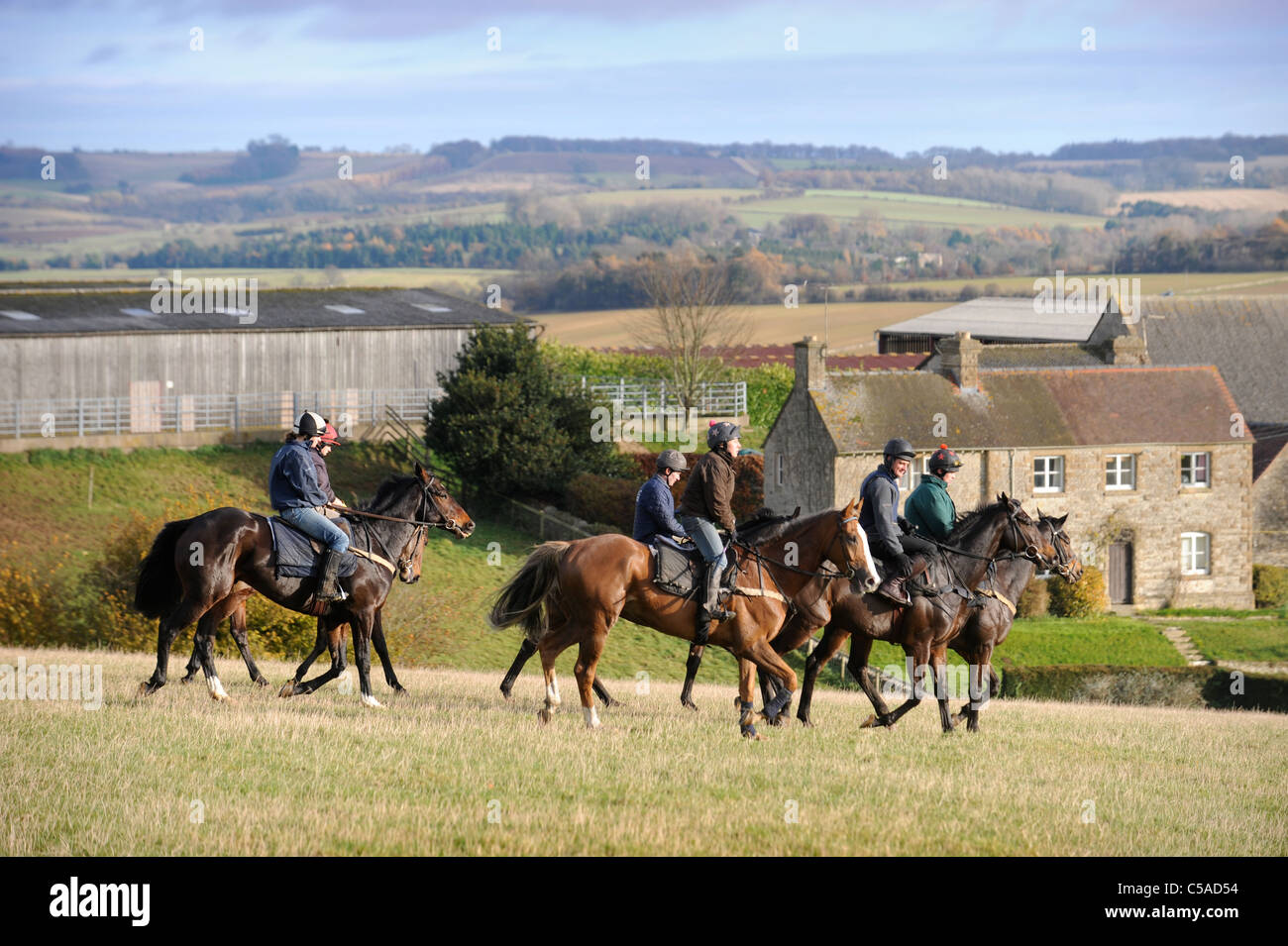 Work riders exercising racehorses at a stable in Gloucestershire UK ...