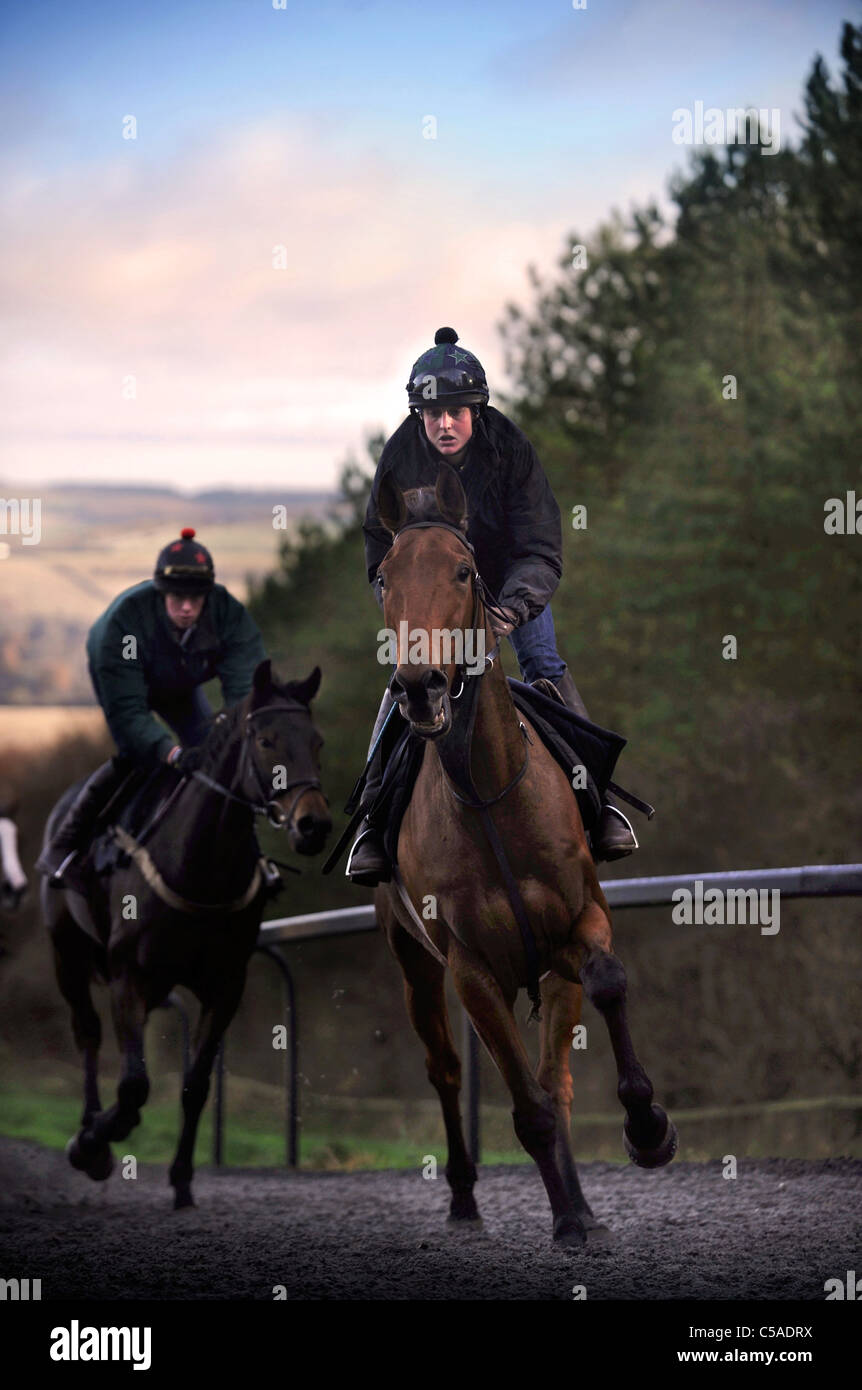 Horses stable uk hi-res stock photography and images - Alamy