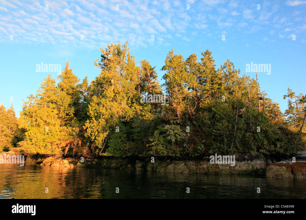 An island from the broken island group in Barkley sound at sunset on a