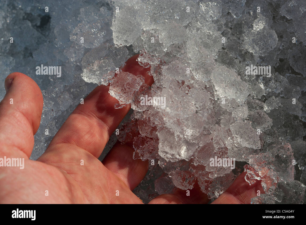 Hand in crushed ice Stock Photo Alamy
