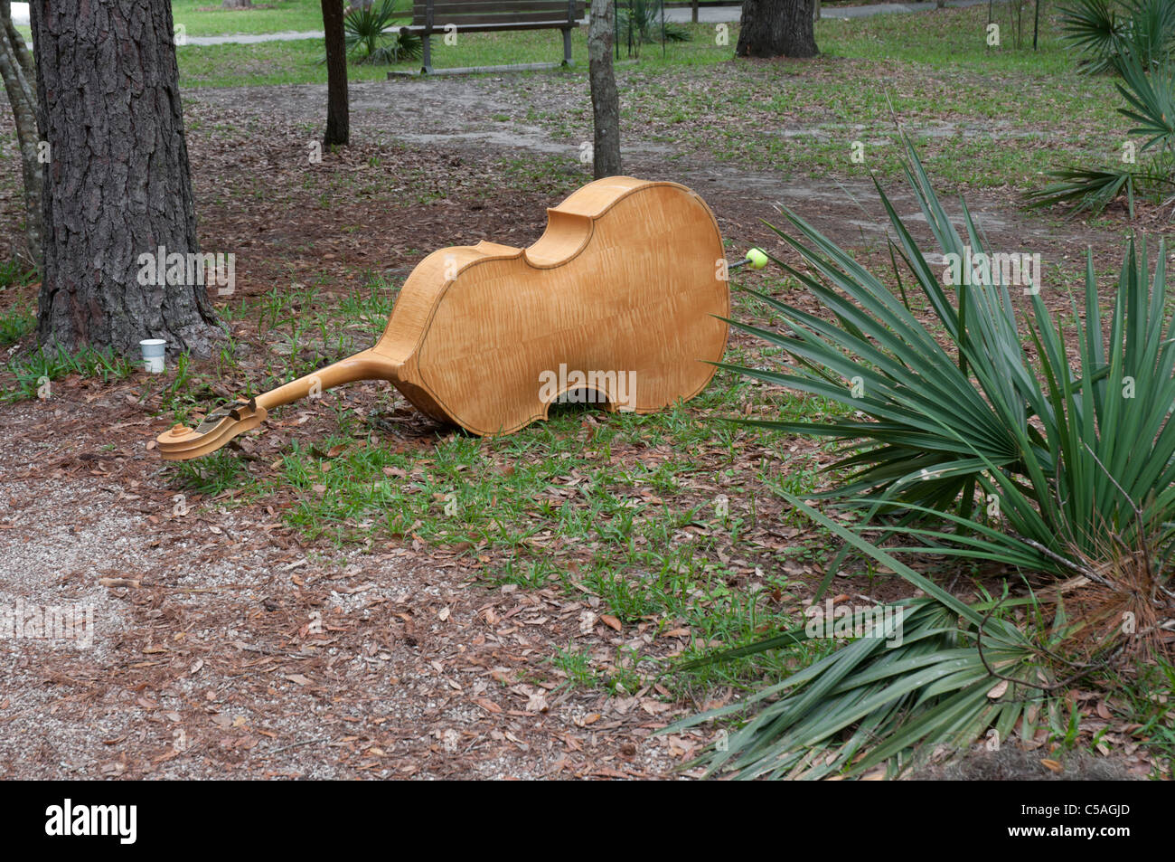 Manatee Springs State Park Florida bass violin lying on ground