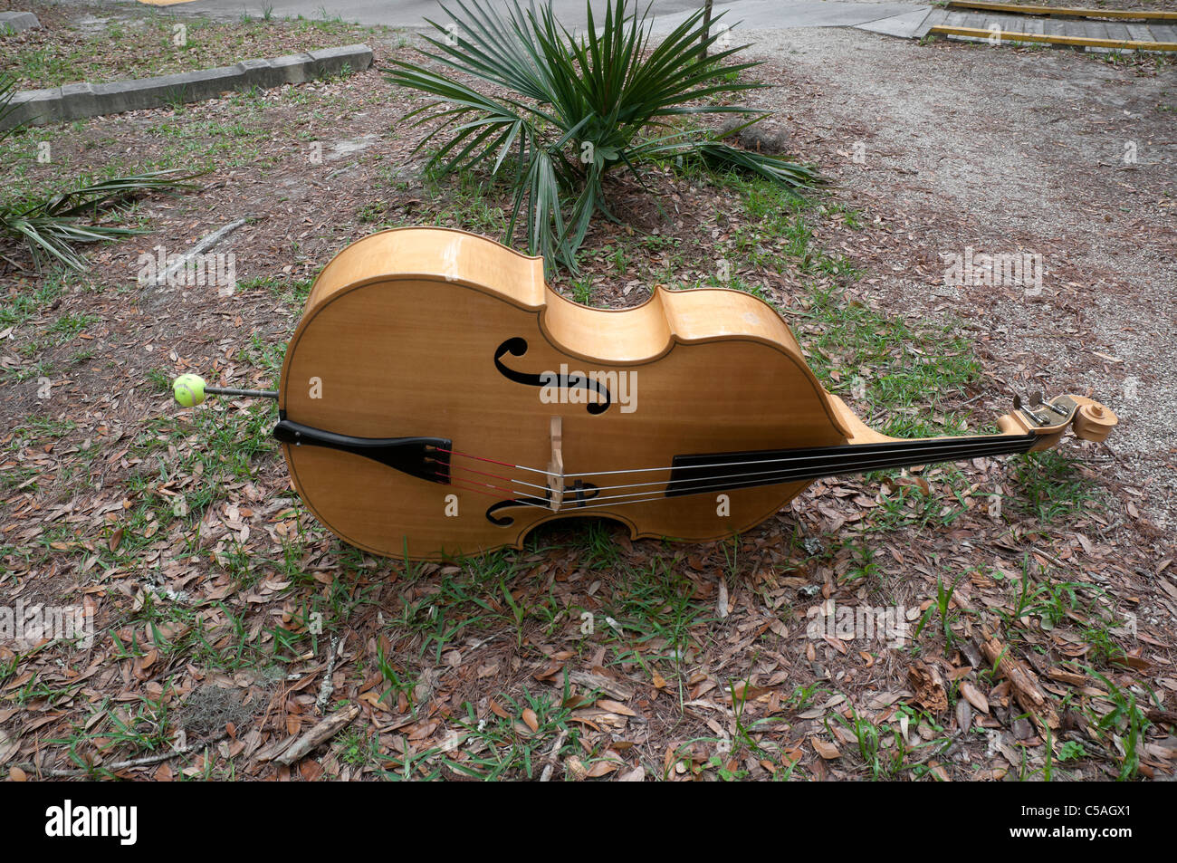 Manatee Springs State Park Florida bass violin lying on ground during intermission of Gospel songfest Stock Photo