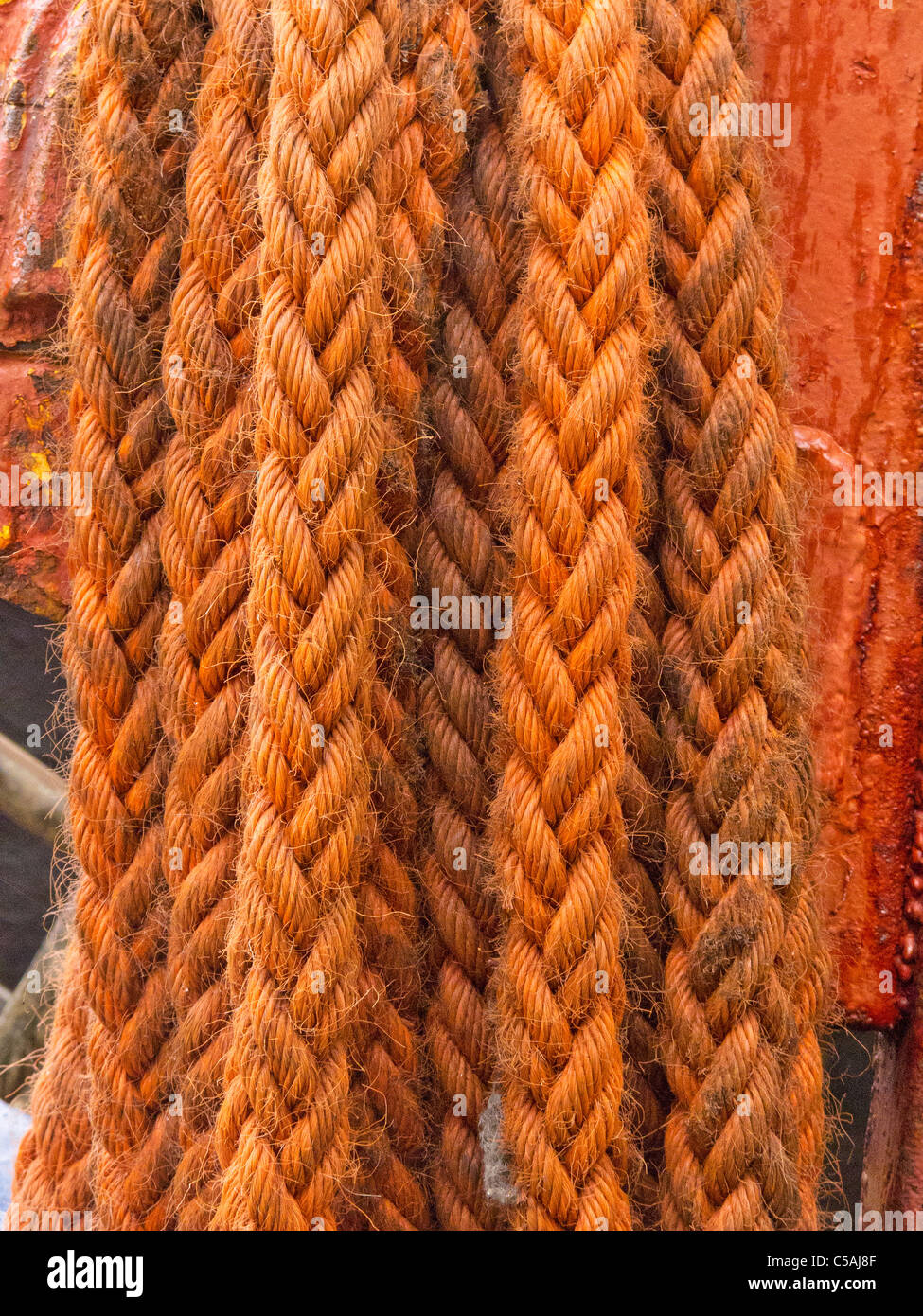 Number of ropes hanging down Stock Photo - Alamy