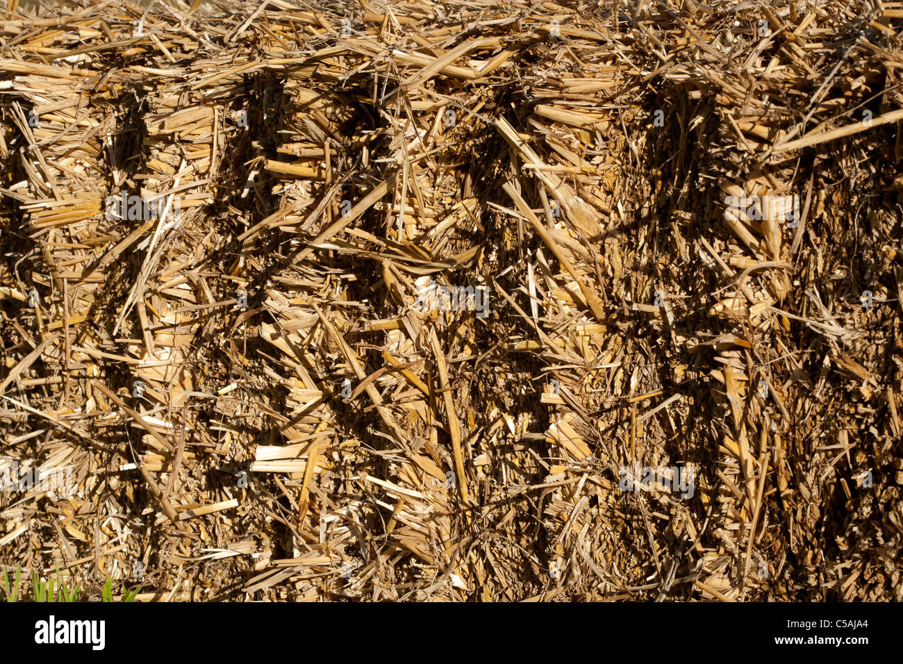 Straw bale , close up of side view Stock Photo