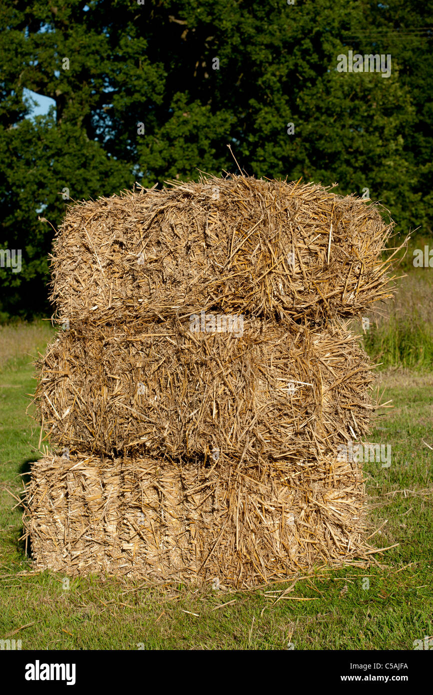 Straw bales in a small stack Stock Photo