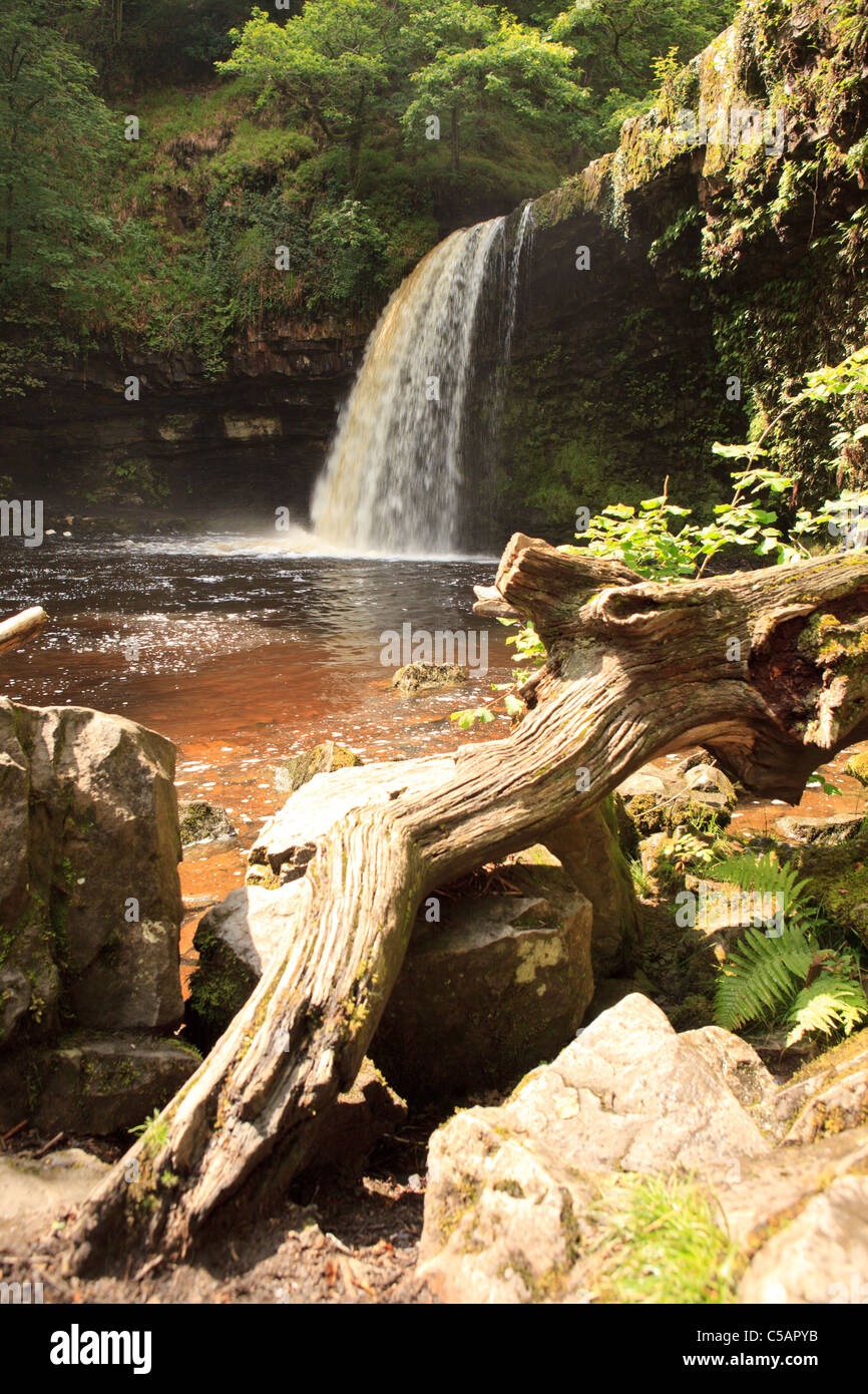 Scwd Gwladys, Waterfall in summer, Powys, Mid Wales, UK Stock Photo