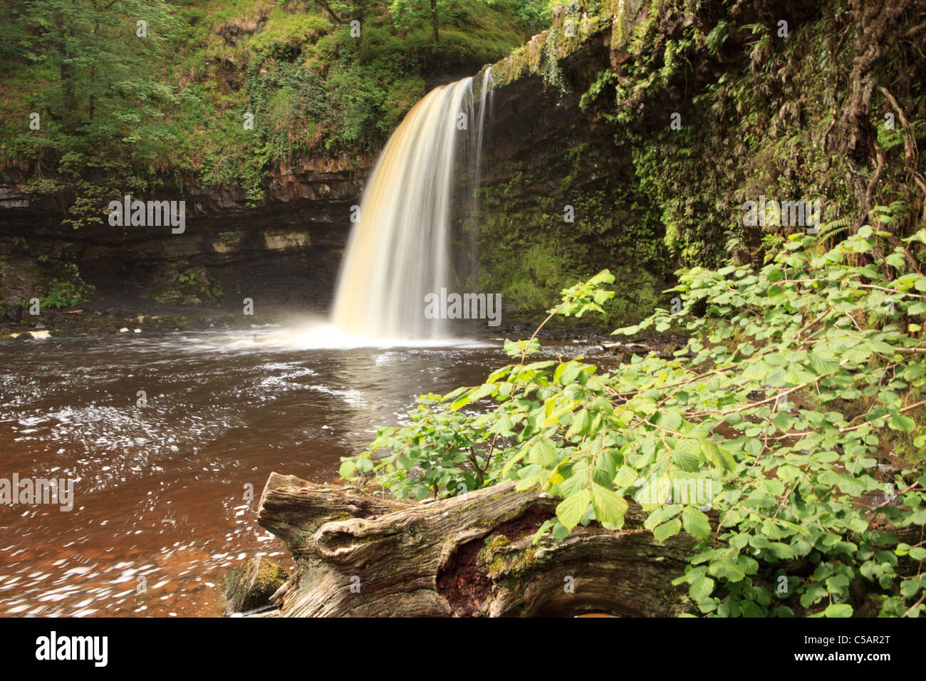 Scwd Gwladys Waterfall in summer, Powys, Mid Wales, UK Stock Photo