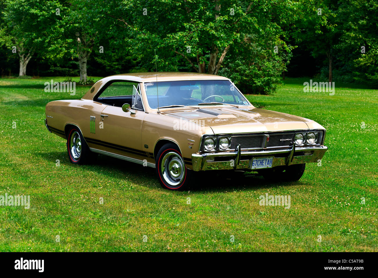 1967 Beaumont Sport Deluxe Cheetah Stock