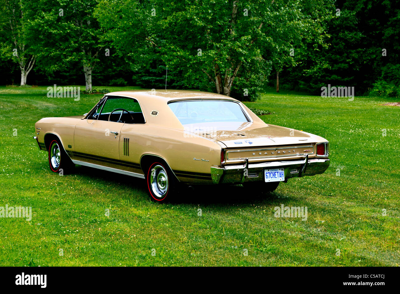 1967 Beaumont Sport Deluxe Cheetah Stock