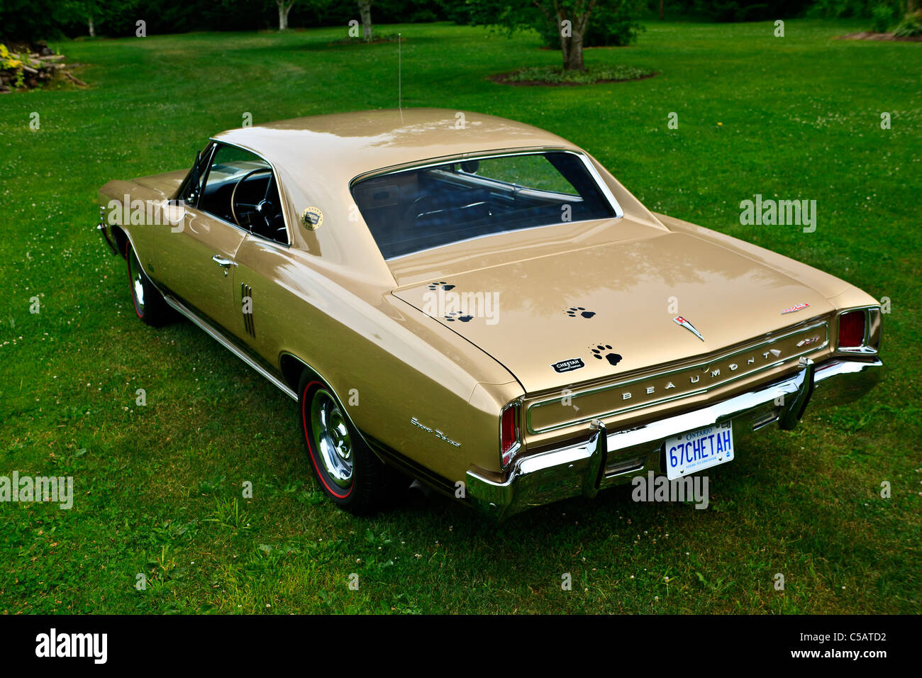 1967 Beaumont Sport Deluxe Cheetah. Canadian built Stock Photo Alamy