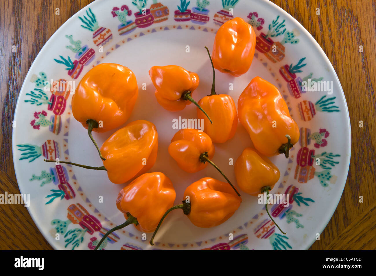 These little orange guys are 40 times hotter then Jalapeños! Stock