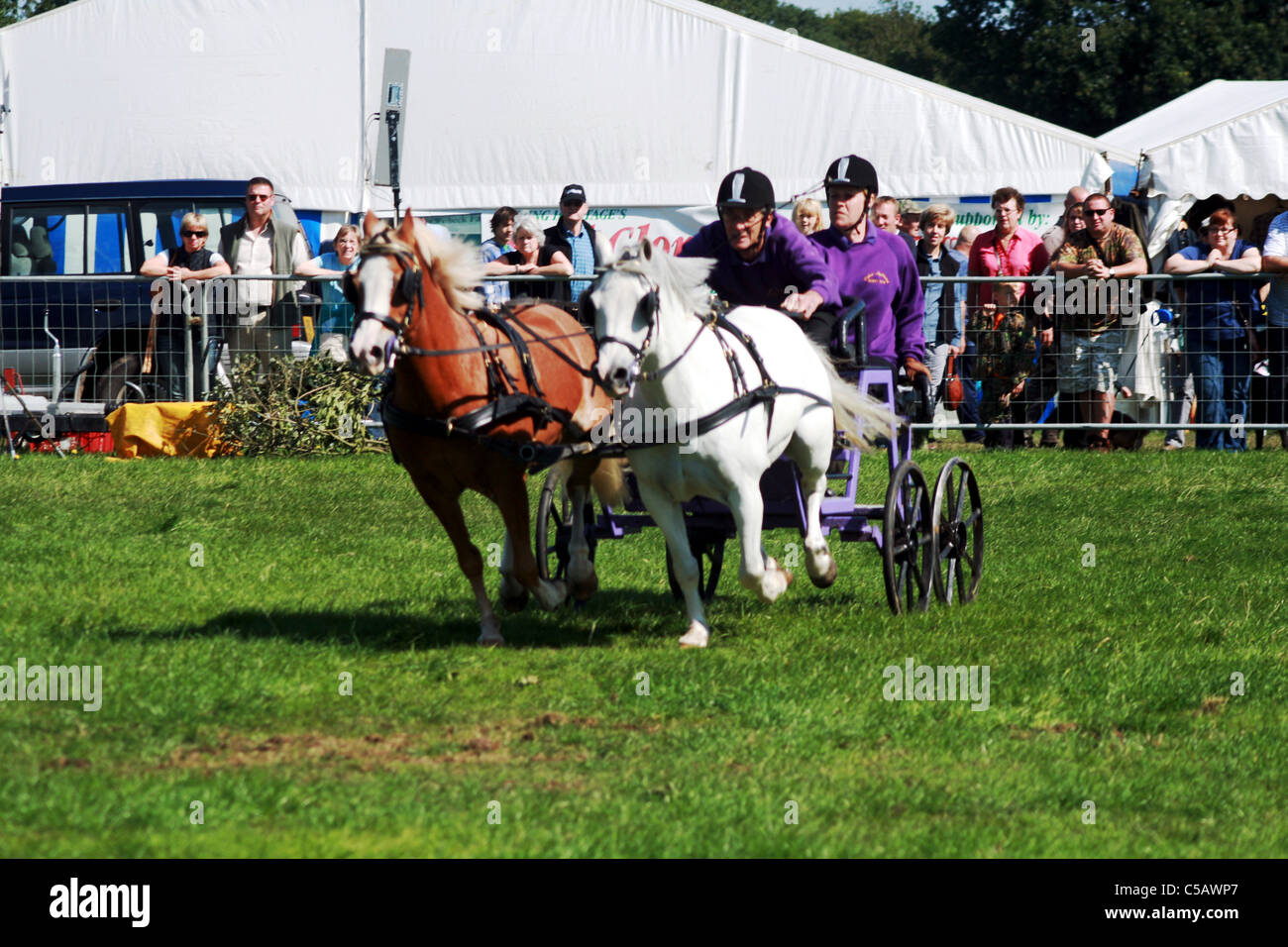 Scurry racing at Cheshire game and country show at Cheshire Show Ground Tabley Cheshire England Stock Photo